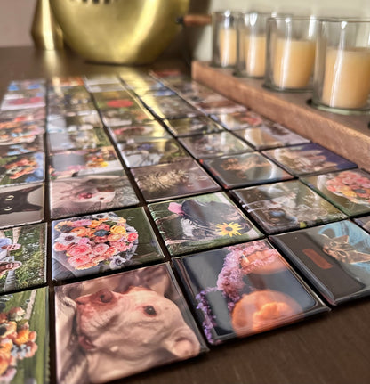 Set of 9 Premium Custom Photo Magnets - #1 Best Seller